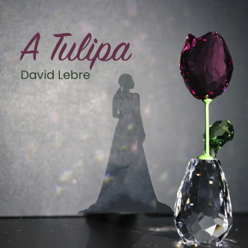 David Lebre - A Tulipa