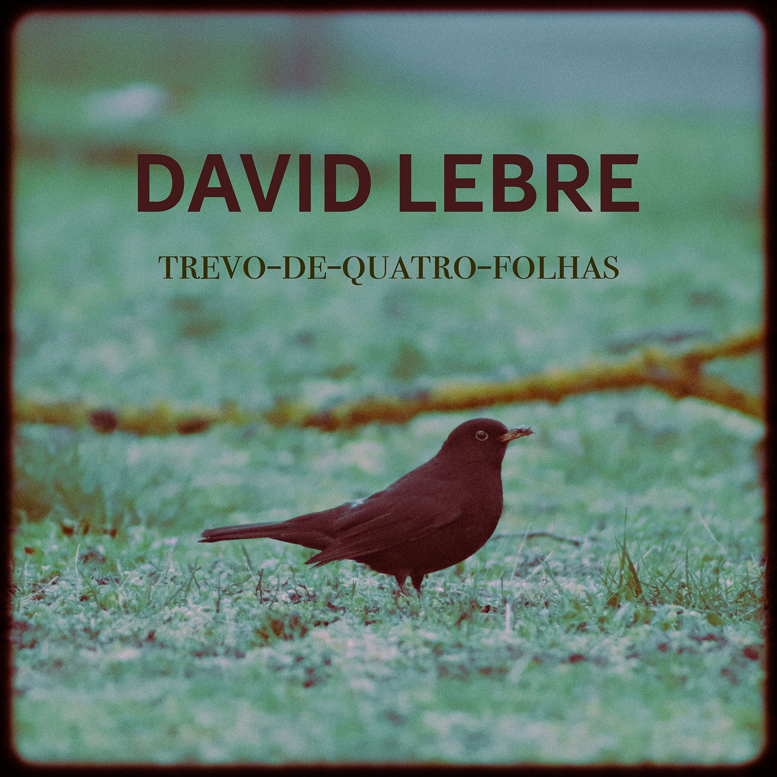David Lebre - Trevo-de-quatro-folhas