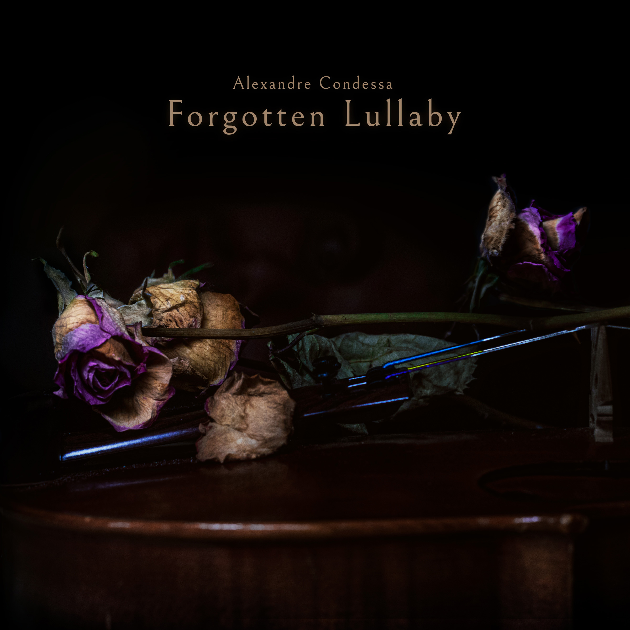 Forgotten Lullaby