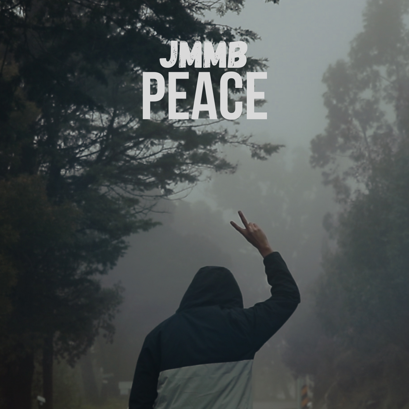 JMMB - Peace