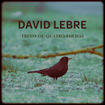 David Lebre - Trevo-de-quatro-Folhas